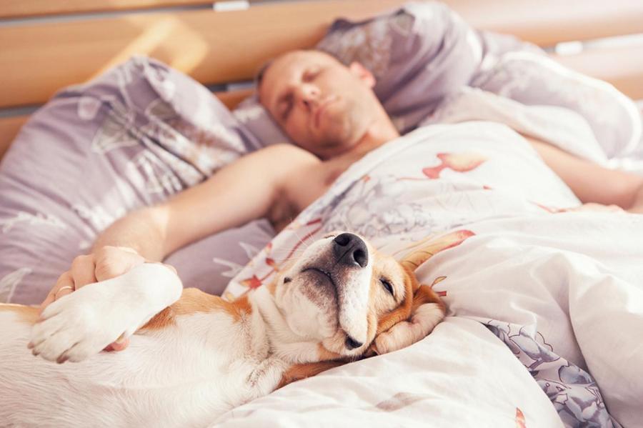 Сомнолог назвал оптимальную температуру для хорошего сна