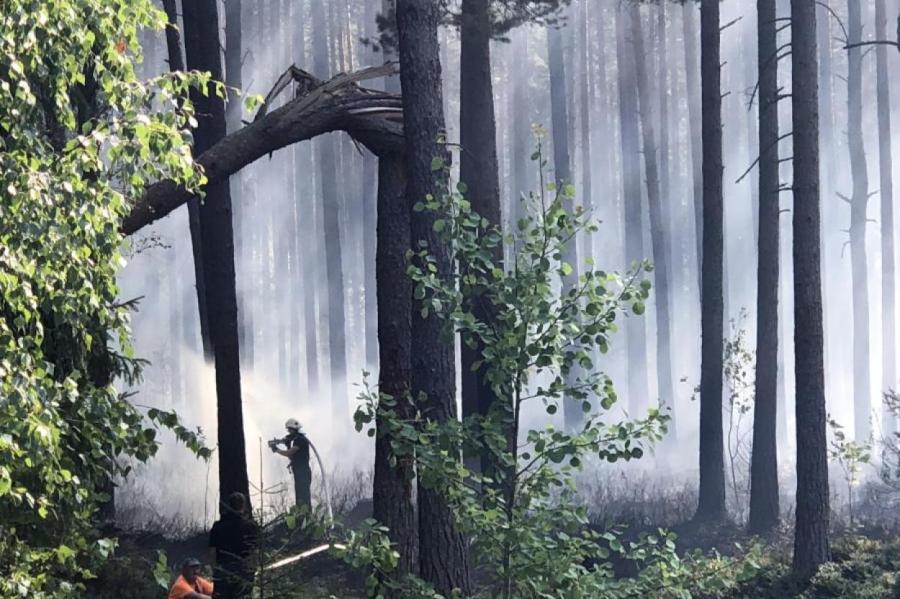 В Латвии резко выросло число лесных пожаров