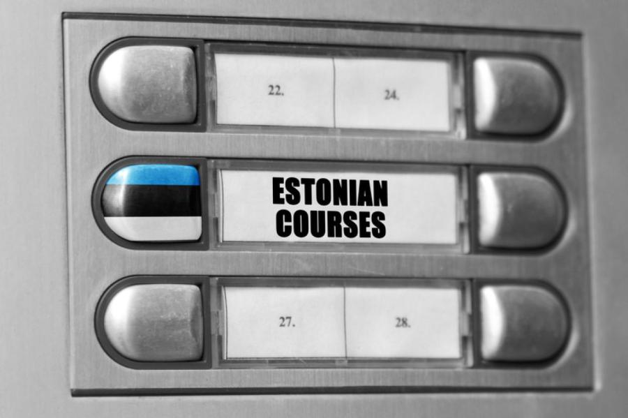 В Эстонии установят уровень владения госязыком для кандидатов на выборах