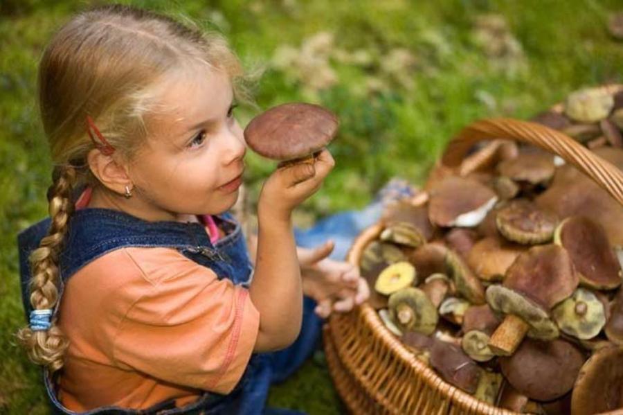 Некоторые грибы можно есть детям только с 14 лет: педиатр дал важное объяснение
