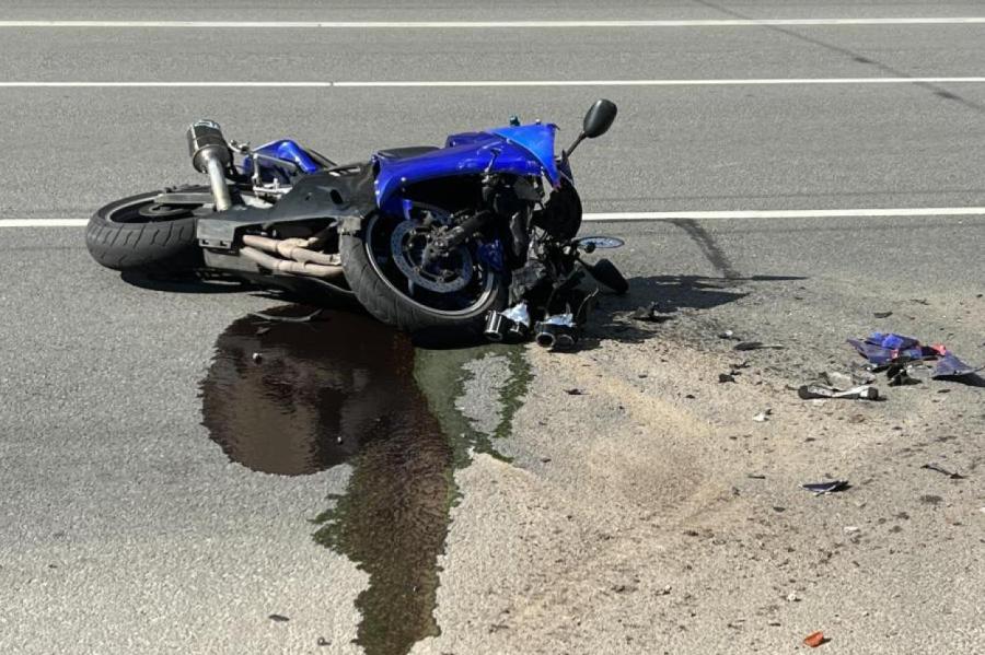 Мотоциклист погиб, столкнувшись с оленем, начато уголовное дело