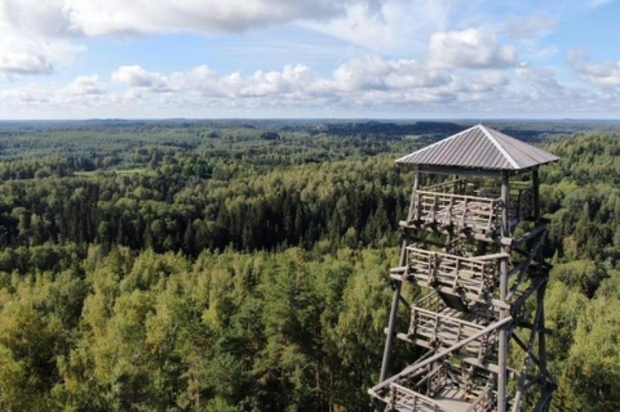 На самой высокой горе Латгалии вновь открыта смотровая вышка