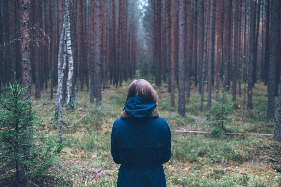 4 совета на случай, если когда-то вы заблудитесь в лесу