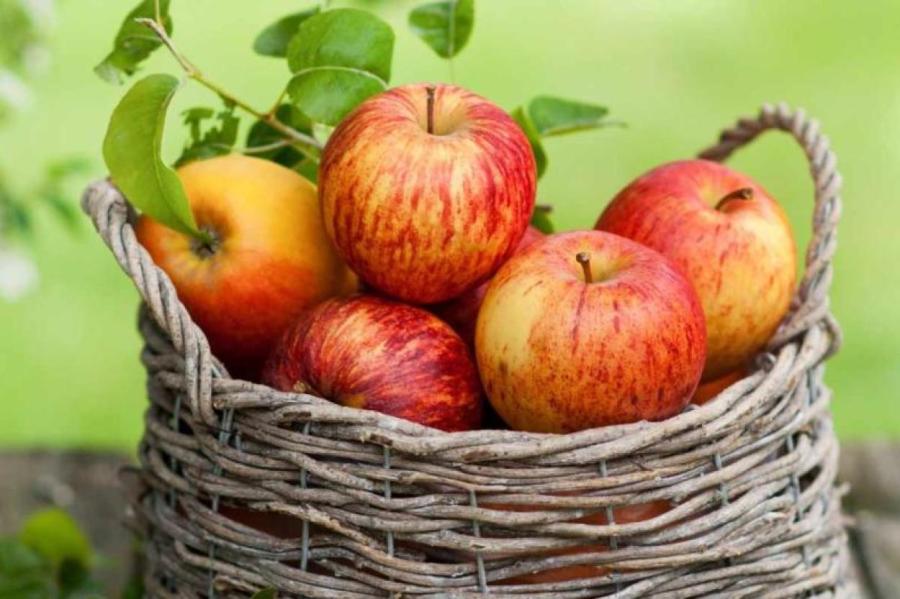 10 причин, почему необходимо есть яблоки