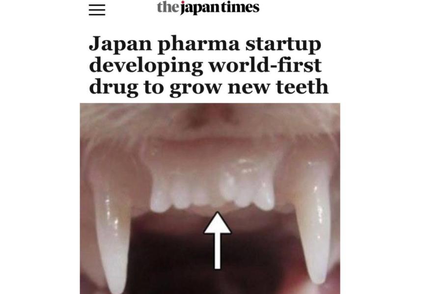 Японцы научились выращивать зубы прямо во рту (ВИДЕО)