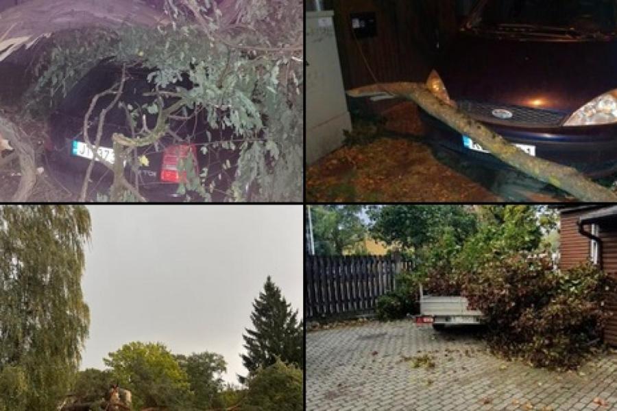 Буря в Латвии ломает деревья, падающие на дороги, машины и дома (+ФОТО, ВИДЕО)