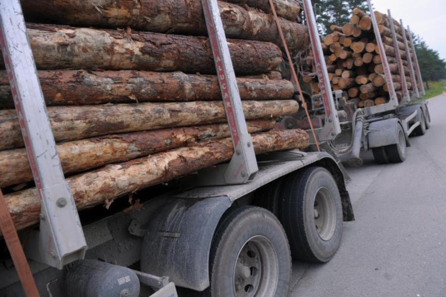 Экспорт продукции лесной отрасли за восемь месяцев уменьшился