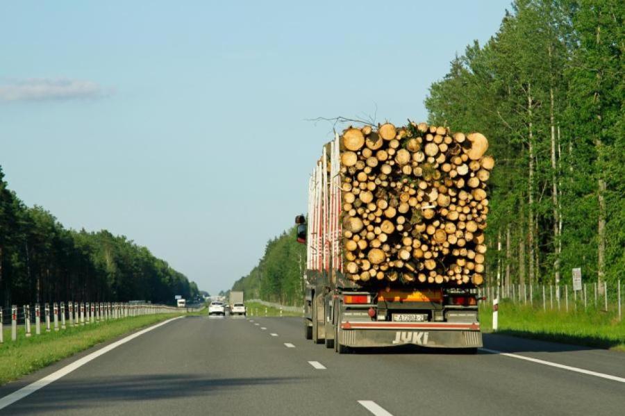 В Латвии рухнул импорт продукции лесной отрасли