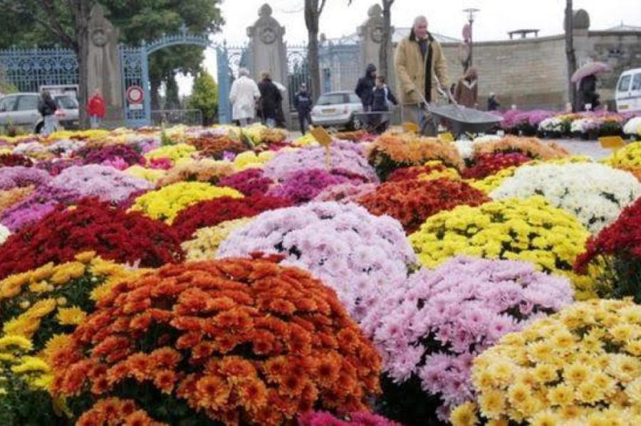 Как президент Пуанкаре создал ноябрьский «цветок для мертвых» (ВИДЕО)