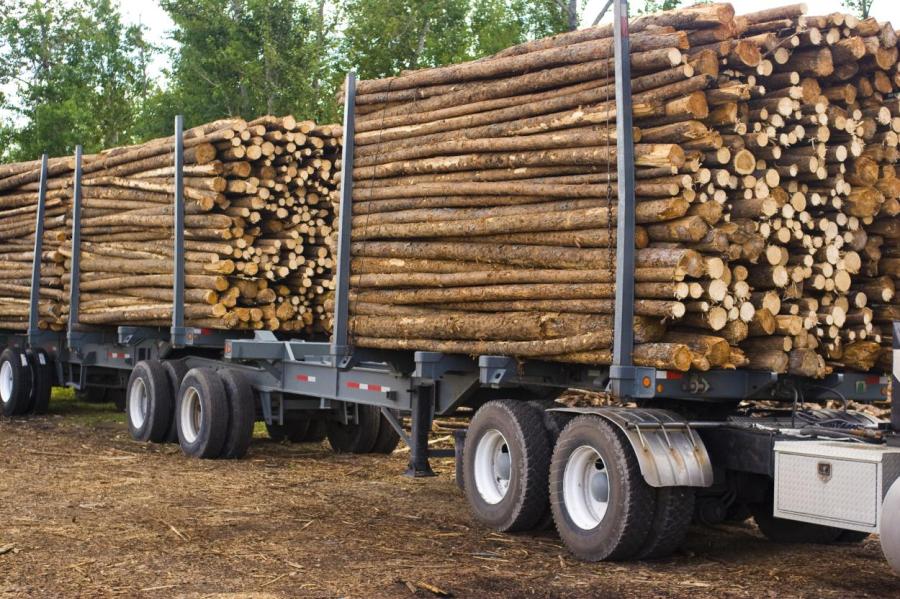 Картели: оштрафованы компании, занимающиеся заготовками латвийского леса