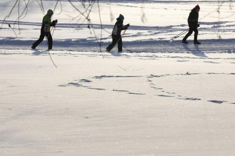 Уже скоро: синоптики объявили, когда в Латвию придет настоящая зима