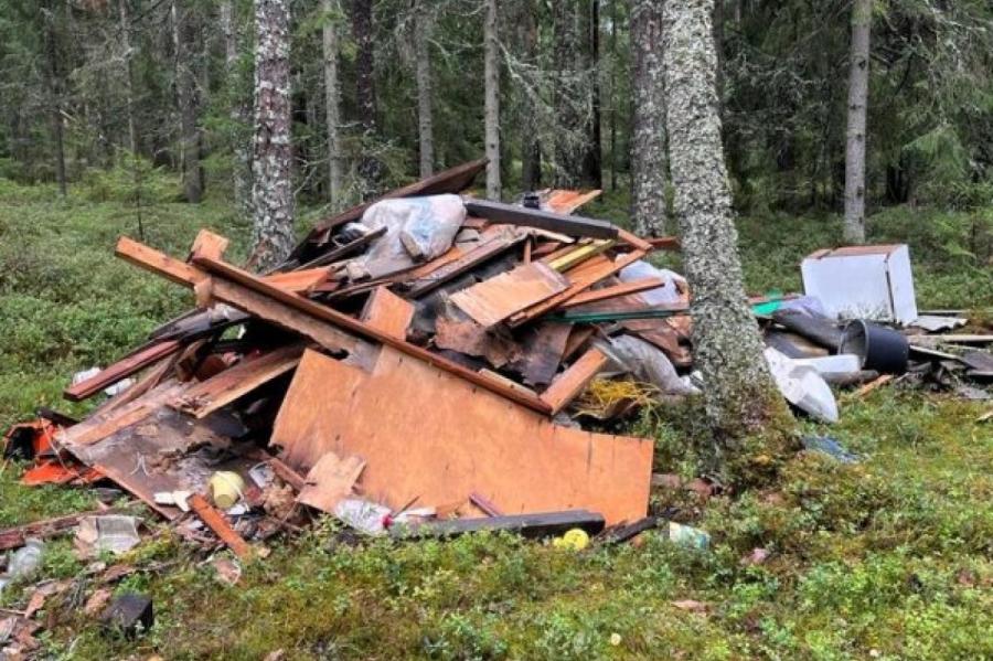 Штраф – 750 евро: в Курземе наказали местных жителей, выбросивших мусор в лесу