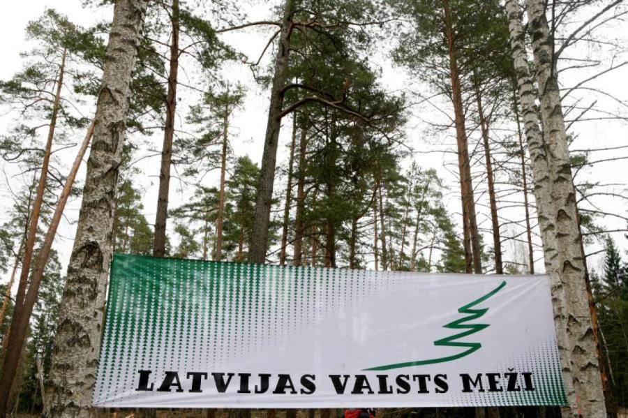 Из-за роста цен на лес фирма Latvijas valsts meži заработала огромные деньги