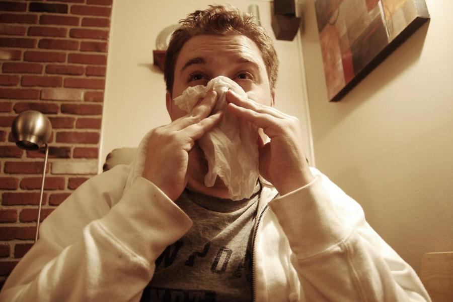 В Великобритании впервые человек заразился редким вирусом свиного гриппа