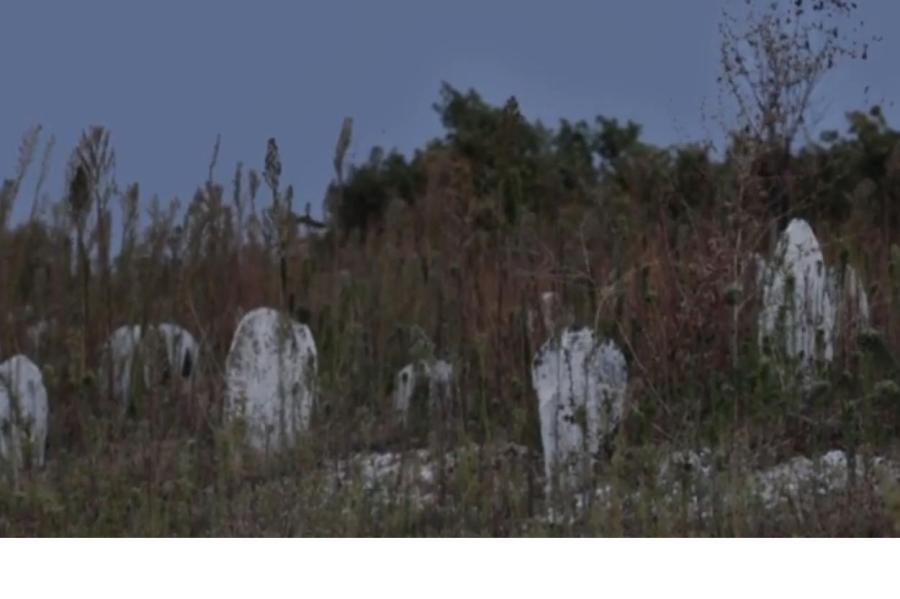 Массовые безымянные могилы мигрантов множатся в Евросоюзе (ВИДЕО)