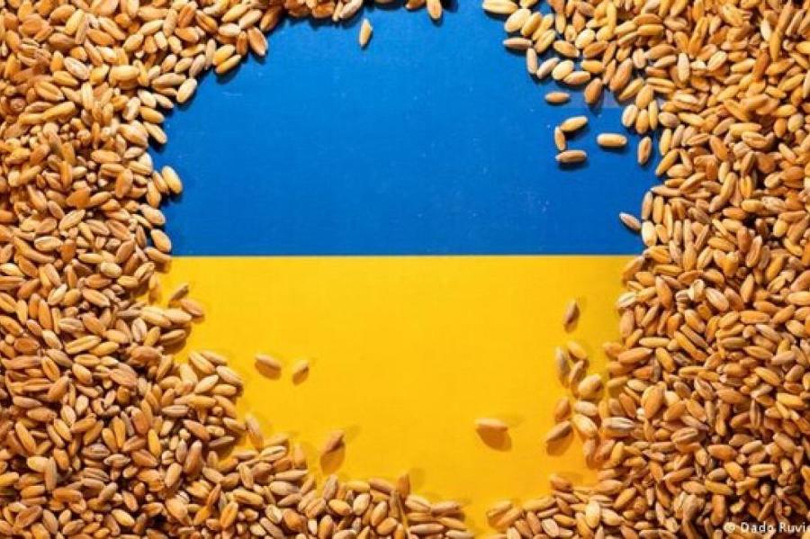 Как привлечь украинское зерно в порты Латвии — план N1 и план N2