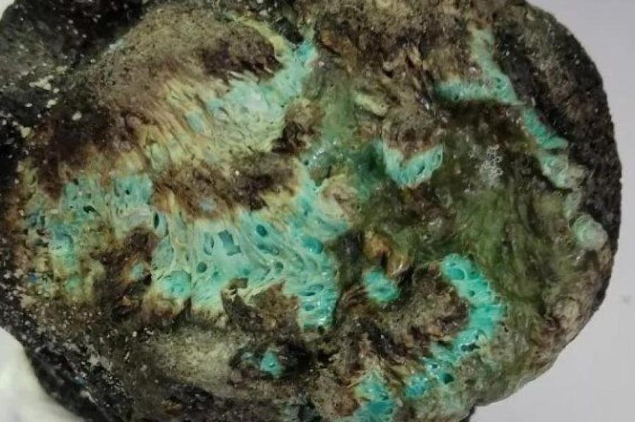 На Земле появился новый вид минералов – пластиковые камни: они уже по всему миру