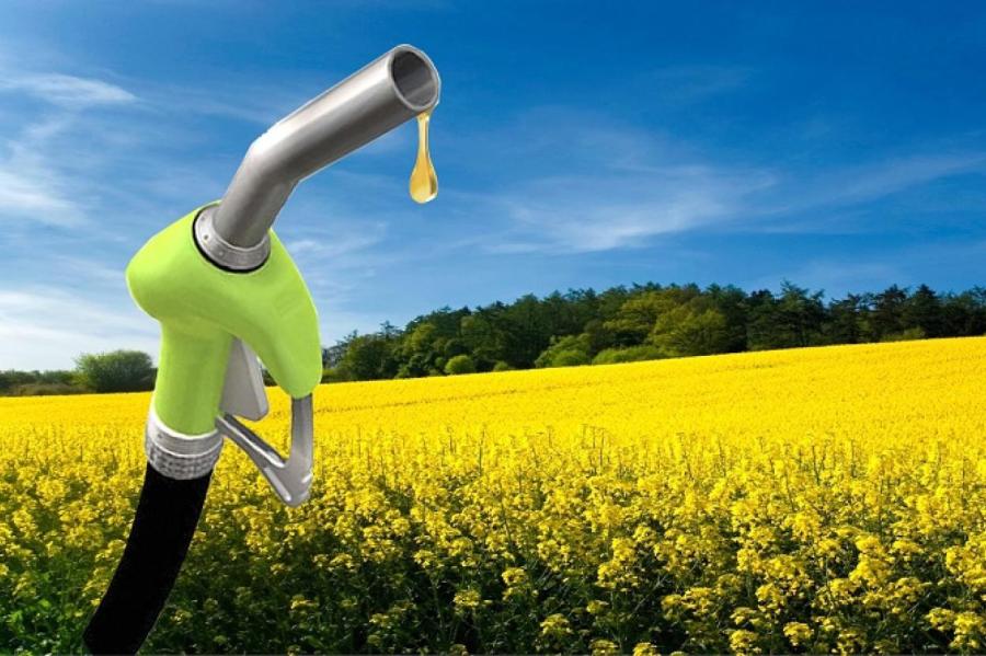 Примесь биотоплива снова обязательна
