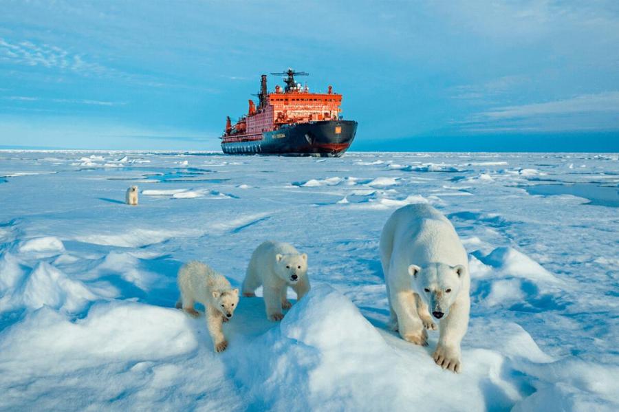 В США назвали последствия для границ России от расширения шельфа в Арктике