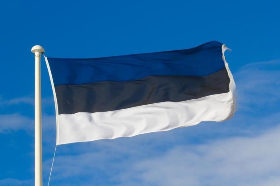 Мигрантам разонравилась Латвия, но у эстонских пограничников работы хватает