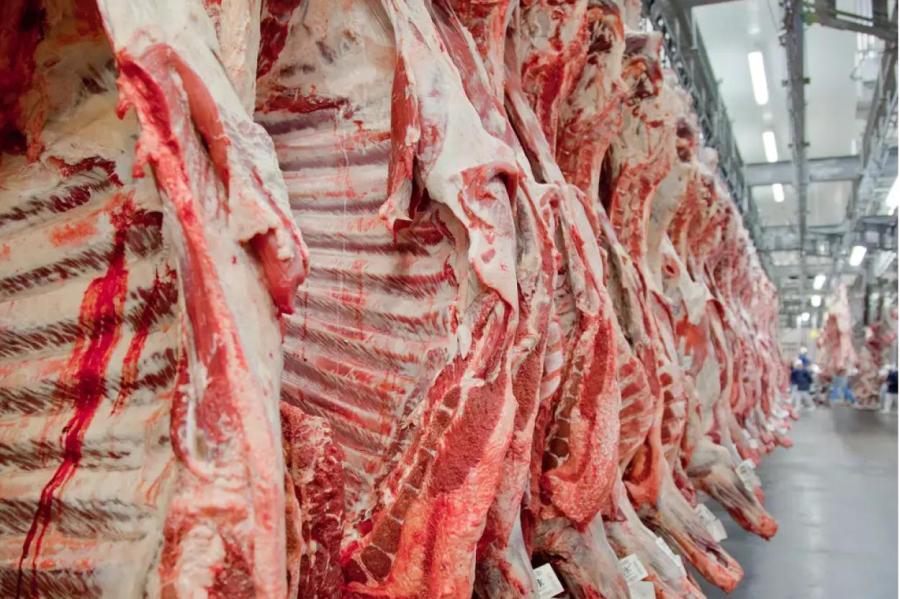 В 2024 году Бразилия завалит РФ мясом (ВИДЕО)