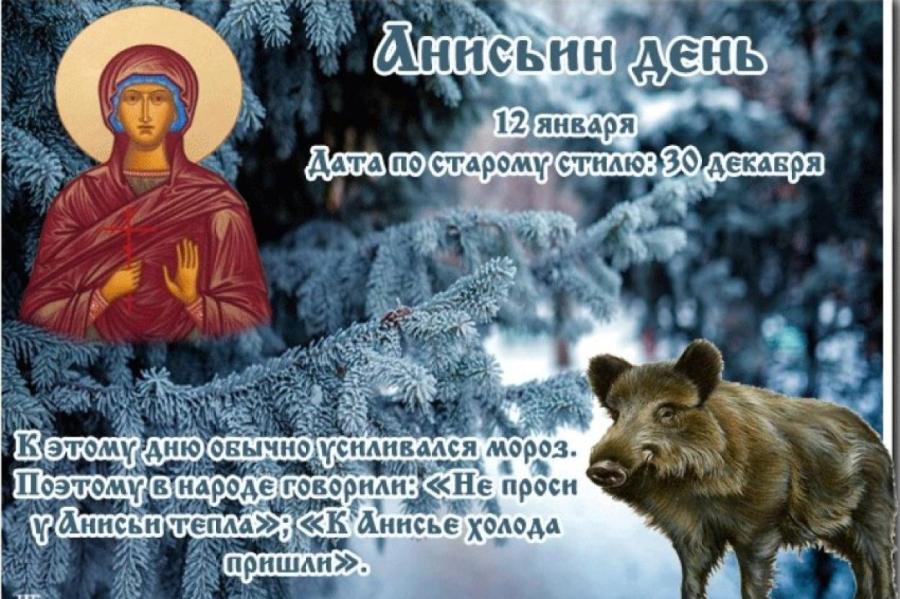 12 января мужчина. Анисьин день 12 января. По народному календарю - Анисьин день. Анисьин день народный календарь. Праздник православный 12 ягваряянваря.