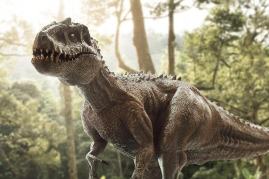 Кто первым открыл динозавров? Выяснилось, что это были вовсе не британцы