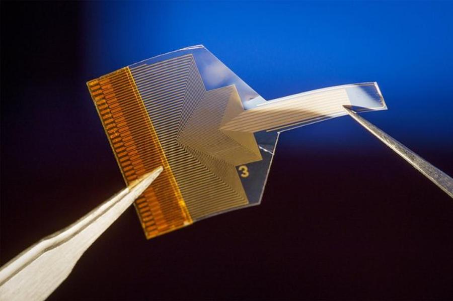 Создан мозговой чип для нейрокомпьютерного интерфейса