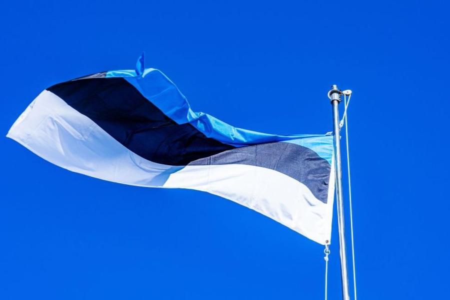В Эстонии предложили разместить мины вдоль границы с Россией