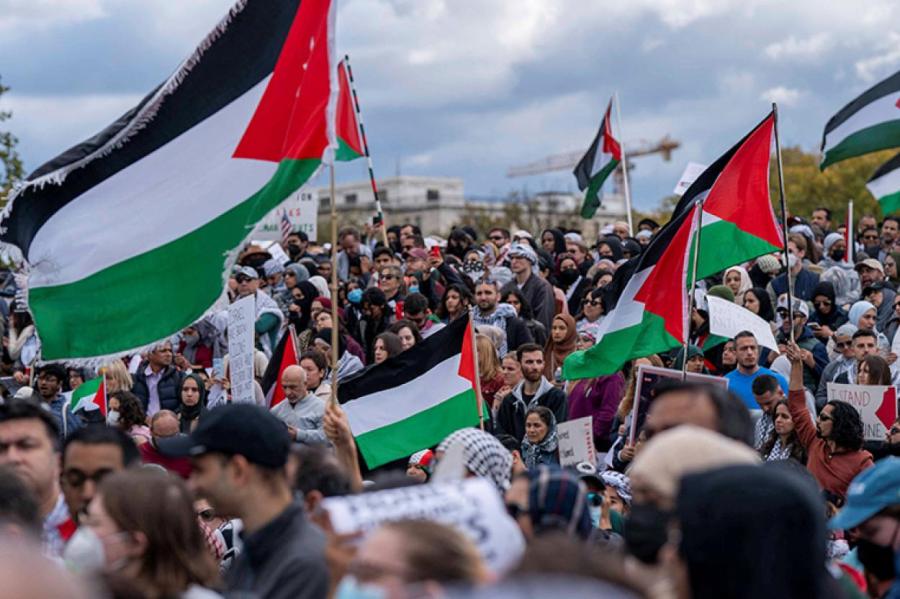Массовые выступления в поддержку Палестины