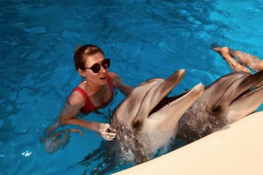 Подсанкционная Скабеева купается с дельфинами - явно не в России (ВИДЕО)