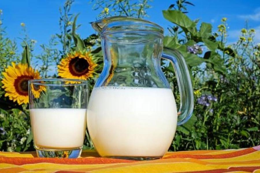 Укрепляет кости и содержит много гормонов: 8 мифов о коровьем молоке