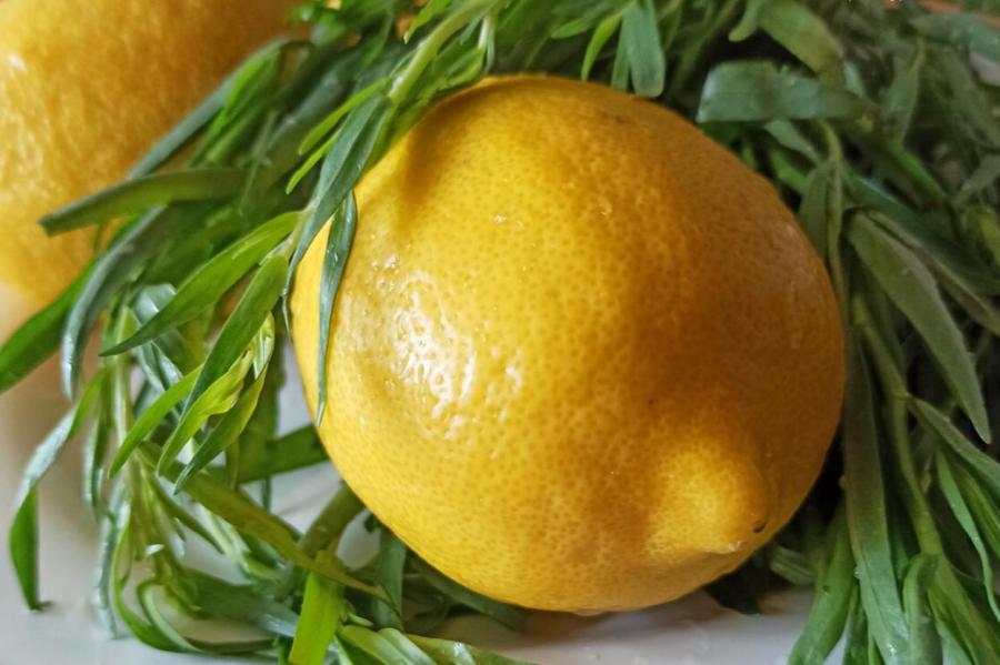 Зачем замораживать лимон? Есть 2 веские причины