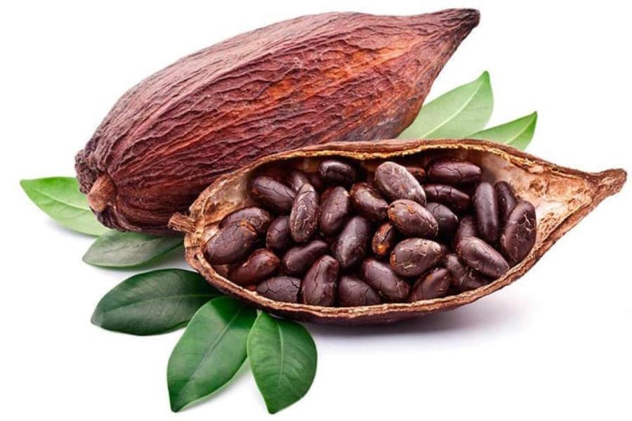 Почему мировой рынок какао переживает стресс (ВИДЕО)