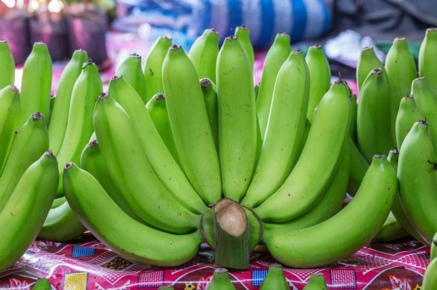 Зеленые бананы стимулируют развитие бактериальной флоры в кишечном тракте