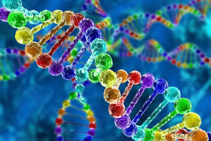 «Ген спокойствия»: у детей 90-х обнаружили особенность в ДНК