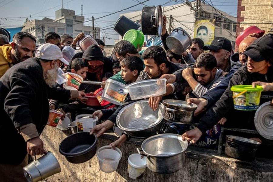 Гражданские в Газе уже едят сорняки (ВИДЕО)