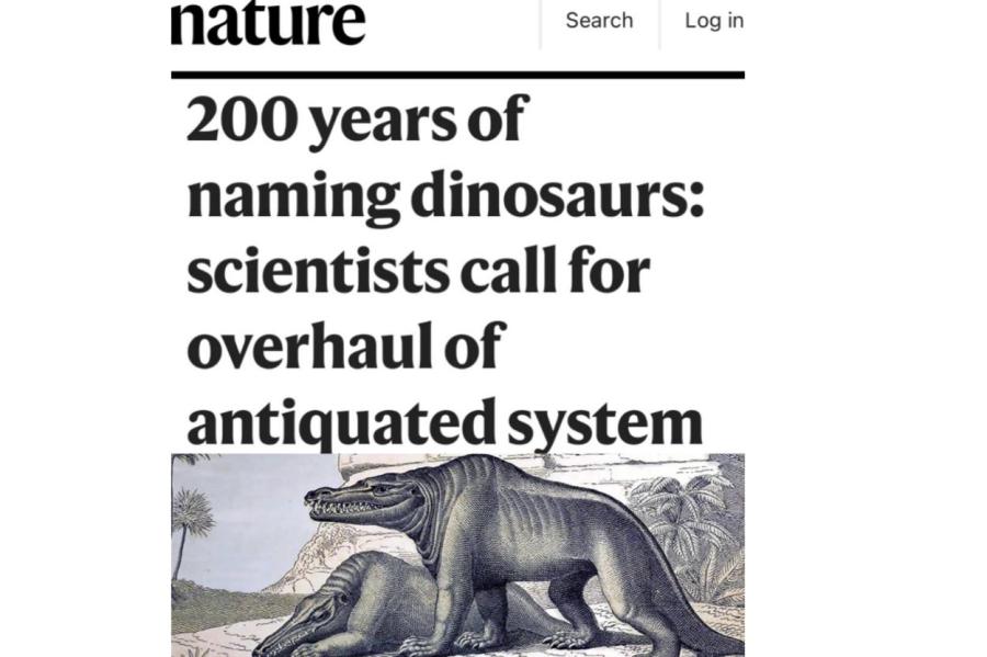 Динозавров уличили в сексизме, ученые ФРГ нашли выход (ВИДЕО)