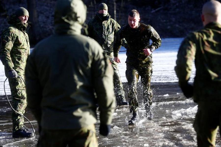 Литва проведет крупнейшие военные учения с резервистами