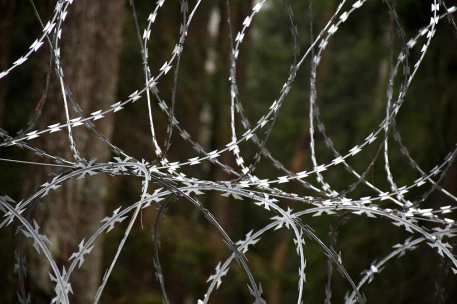 Пакистанцу, водившему в Латвию мигрантов, дали шесть лет тюрьмы