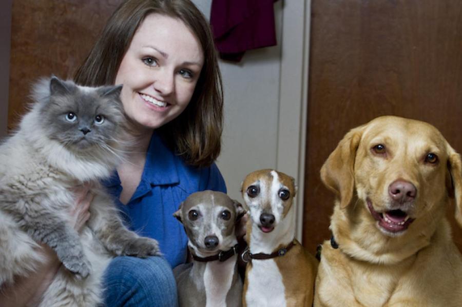 Кошки против собак: что говорит о вас выбор домашнего питомца