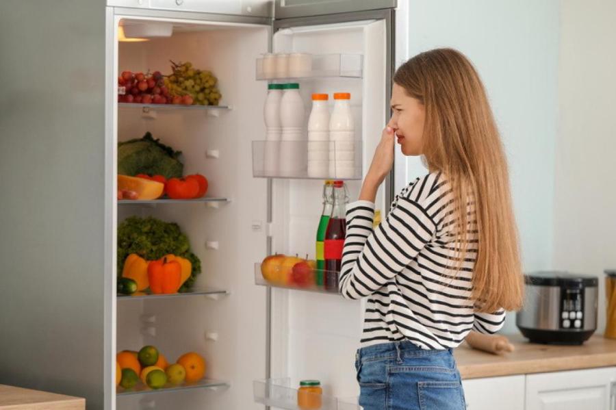 Сколько можно безопасно хранить в холодильнике готовую еду