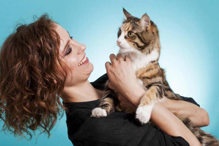 Как сделать жизнь кошки комфортнее: лайфхаки для кошатников