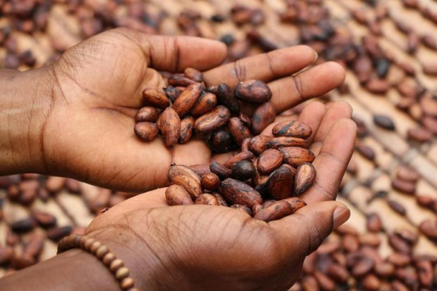 Цены на какао установили исторический рекорд
