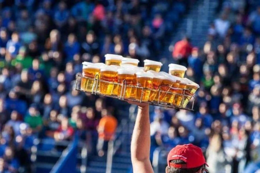 Учёные придумали, как с помощью ИИ улучшить вкус пива