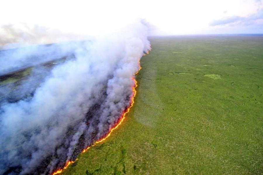 Огненный вал обрушился на Амазонию в 2024 году (ВИДЕО)