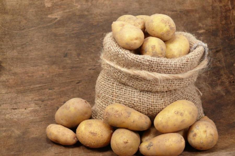 Ученые решили создать чудо-картофель. Чем он будет отличаться от обычного?