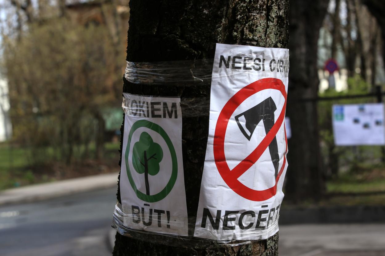 Запрещено вырубать деревья на территориях городов и сел