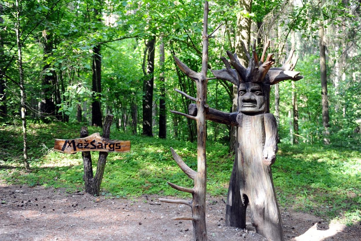 Проблема: в латвийских лесах стали пропадать лесничие