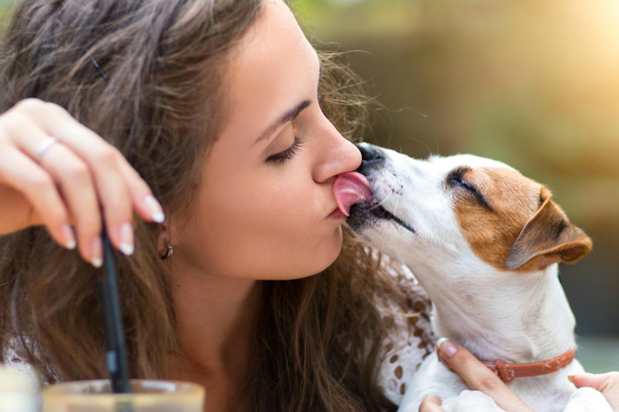 Почему не стоит “целоваться” со своей собакой